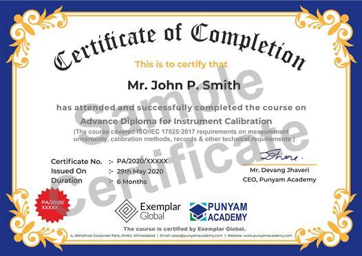 Punyam Academy Certificate